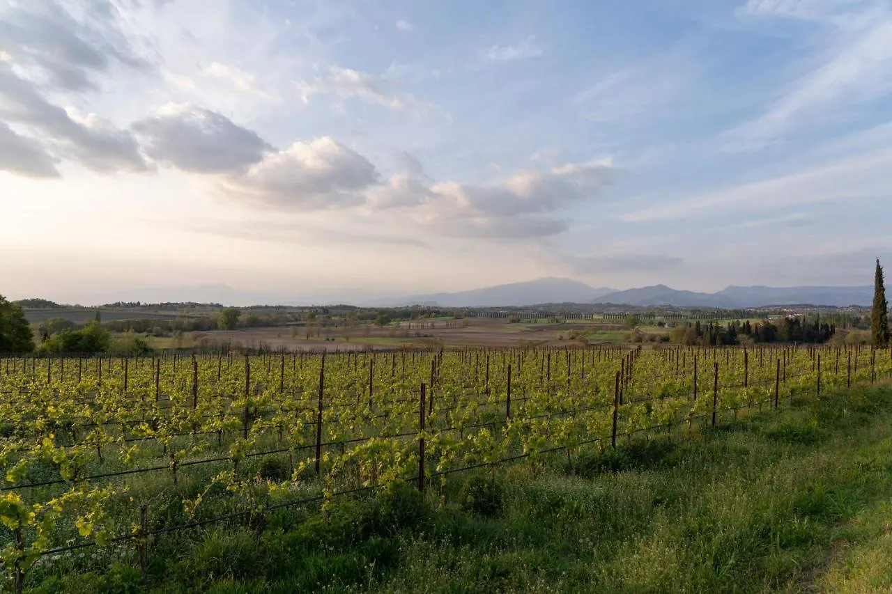 Hotel Ripassoqui Custoza 0*,
