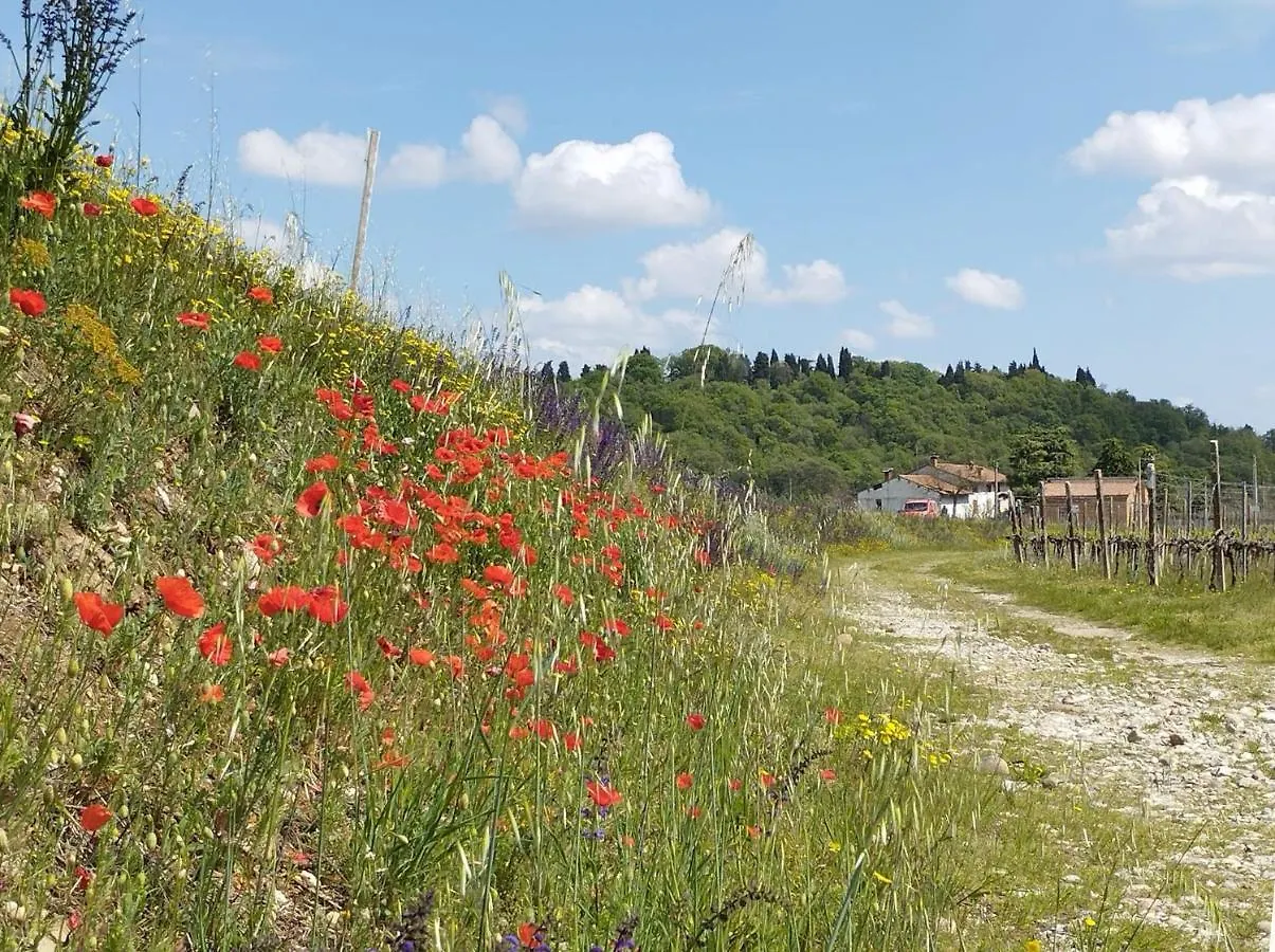Hotel Ripassoqui Custoza Penzion
